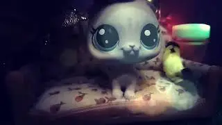 •Где видео?Вопросы по полочкам•