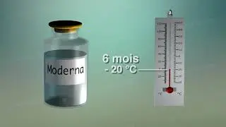 Covid-19, Moderna vaccine can be kept at -20° C and remain stable for 30 days at 2° C to 8° C