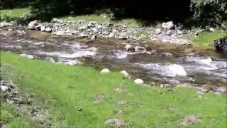 Liniște
