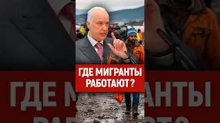 А где мигранты работают в России? 