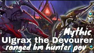 Mythic Nerub'ar Ulgrax the Devourer Ranged BM Hunter