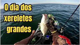 O dia dos xereletes grandes