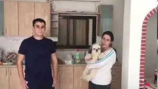 הובלת דירה במרכז הובלות 555 המלצה