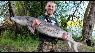 WE CATCH STURGEON AND TAKE IT HOME!!!