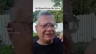 God sheep hear his voice