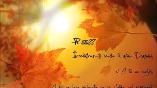 Adi Pop   Cand soarele rasare dimineata