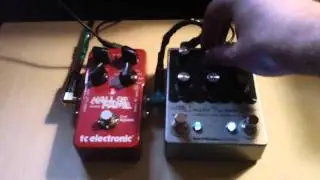 Earthquaker Devices Disaster Transport Delay - TC Electronic Hall of Fame Reverb Guitar Demo