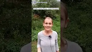 Замечай Жизнь! #ЕленаРимская #осознанность  #счастье