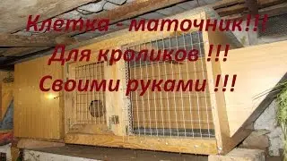 Клетка-маточник для кроликов своими руками!!! Устройство, размеры, описание!!!