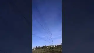 Тестирование орнитологических сетей паутин с ячейкой 17*17 и 20*20