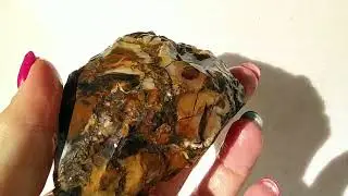 Сердолик яшма коралл..... что можно найти на реке Или!!!! часть 2-я
