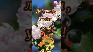 Солнечной среды, прекрасного настроения всем.