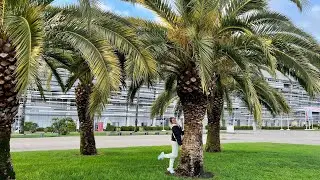 В СОЧИ ХОЛОДНО,🌴АЛЛЕЯ ПАЛЬМ В СИРИУСЕ🌴ФОНТАН