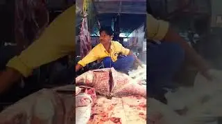 80Kg katla fish cutting Bangladesh