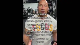 скала что-то объясняет
