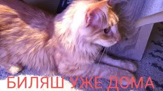 РАСПАКОВКА БЕЛЯША самый дорогой подарок на Рождество!!!