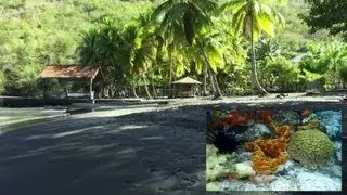 Martinique: Anse noire - Les paradis terrestre et marin existent, j'en reviens et j'y retournerai !