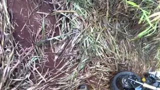 Don't Do This at Home, Kiddies. More Grom Adventures!