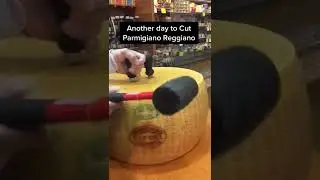 Cheese Love Tiktok carebear 786