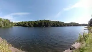 Limberlost Forest - 360 Video