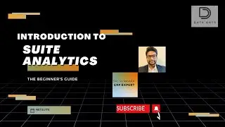 Introduction to SuiteAnalytics - NetSuite - Datasets and Workbooks