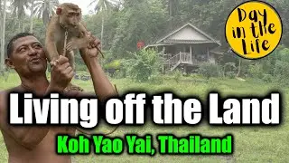 LOCAL farmers ranch in REMOTE Thailand - Koh Yao Yai