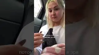 Мои голуби ездят на такси, а вы?