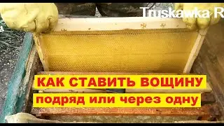 Пчёлы. Вощина, лучше качество отстройки по схеме установки вощины... 