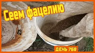 ||ДЕНЬ 768|| Сплели венок. Отремонтировали забор. Посеяли фацелию.