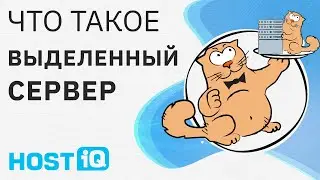 Что такое выделенный сервер (Dedicated Server)