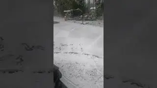 Taking the arctic cat for a ride