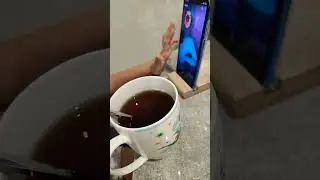 обзорро 13 апре