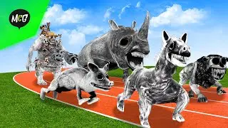 Zoonomaly's New Animal Fastest Race!