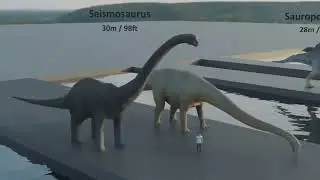 Animal Size Comparison in 3D Animations | from prehistoric times to modern times