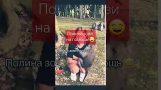 ПОЛИНА, ЗОВИ НА ПОМОЩЬ! 