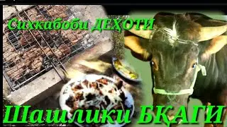 ШАШЛИКИ БҚАГИ