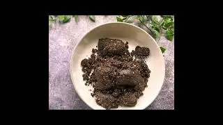 Chocolate Fudge Balls
