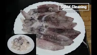 Easy Way Of Cleaning Squids | How to Clean Squid | कैसे स्क्वीड को साफ करें.