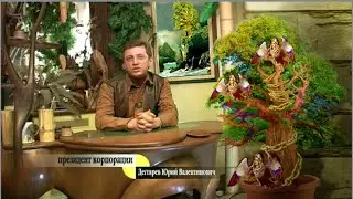 МЕГА ПАРКИ РФ, КНР, США