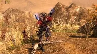 Gunslinger battlemage, или когда один ствол - хорошо, а два - лучше