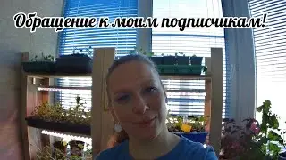 Обращение к подписчикам! Растюшки у Маришки на Яндекс.Дзен и Rutube!!!