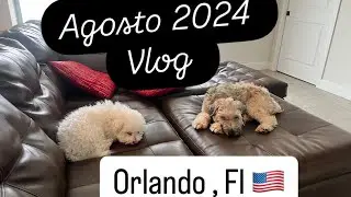 Agosto 2024 | LUTO  dói 💔 / - Vlog / Flórida , Estados Unidos
