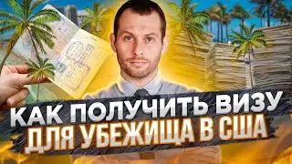Как получить визу США в 2021 году? Виза для убежища в США | Трей Консалтинг