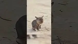 ЗА ЧТО ТАК С НЕЙ?😭