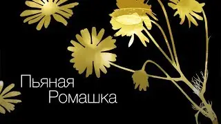 Пьяная Ромашка [ Как Бармен ]