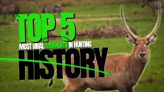 Top 5 MOST VIRAL Bow Kills EVER 🤯 | 680 MILLION VIEWS!!! |