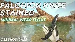 Falchion Knife Stained (Minimal Wear) | CS2 Skin Showcase #973