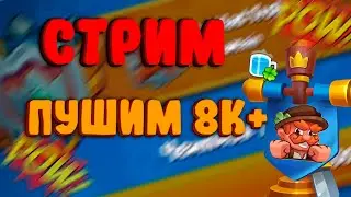 ИДЁМ В 8К+ | КРИТ: 3511 | СТРИМ RUSH ROYALE