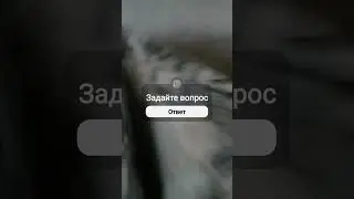 21 января 2024 г.