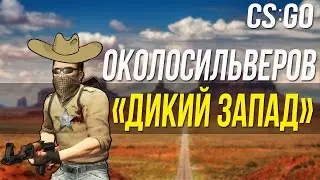 SILVER FROM Wild West - CS:GO
